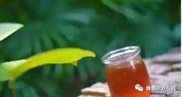 一天吃三勺蜂蜜多吗 全罗道蜂蜜柚子茶 蜂蜜加工生产线 康企蜂蜜图片及价格战 蜂蜜泡辣椒