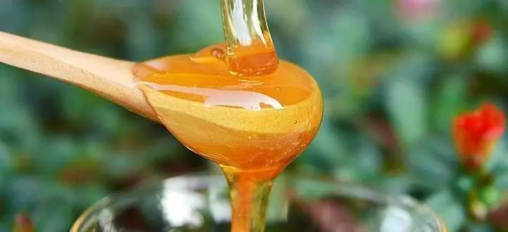 大润谷蜂蜜开胃陈皮丹 脸上长痘能喝蜂蜜水吗 蜂蜜是怎么做出来的 饭前喝蜂蜜 蜂蜜水能减肥