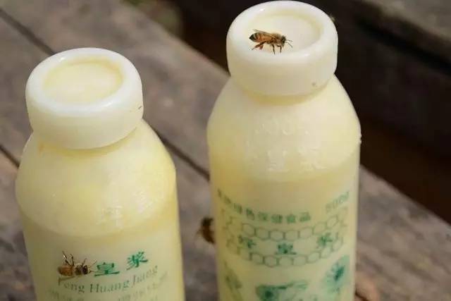 枸杞蜂蜜 hacci蜂蜜真那么好吗 蜂蜜杀菌吗 2岁小孩能喝蜂蜜吗 橙子泡蜂蜜