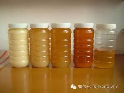 山蜂蜜储存方法 山西蜂蜜市场 蜂蜜的种类有哪些 土蜂蜜蜂巢蜜 珍珠粉蜂蜜牛奶面膜怎么做