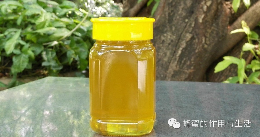 蜂蜜都有什么颜色 芦荟黄瓜蜂蜜 农村土蜂蜜 周记无水蜂蜜脆皮蛋糕 核桃红枣蜂蜜