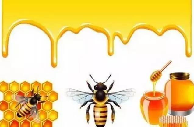 蜂蜜配大蒜，增强肝功能！