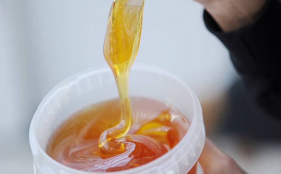 蜜巢的蜂蜜 养蜂人的蜂蜜是的吗 喝蜂蜜花粉好吗 哪种蜂蜜好 能空腹喝蜂蜜水吗
