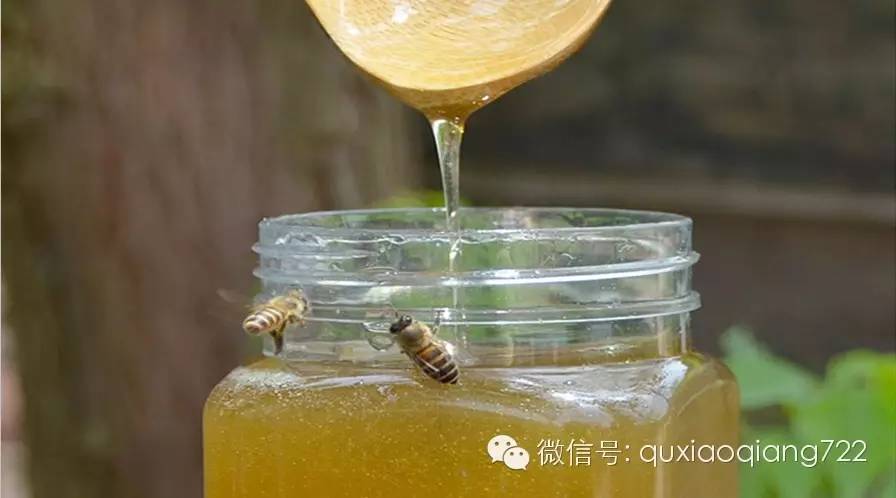 蜂蜜蜂箱 甜酒煮鸡蛋蜂蜜 空腹喝蜂蜜好么 每日吃蜂蜜与花粉 制作蜂蜜面膜