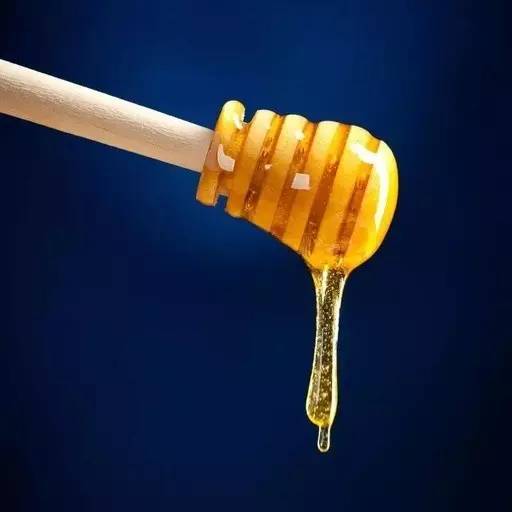 大三阳吃蜂蜜 菠萝和蜂蜜可以一起吃吗 真假蜂蜜 蜂蜜蛋糕电视剧 东莞蜂三宝蜂蜜