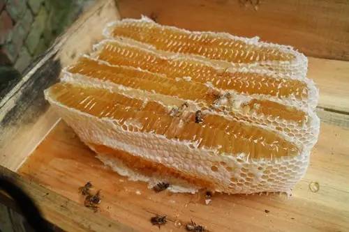 三岁宝宝能喝蜂蜜水吗 绿茶和蜂蜜能去痘印吗 调制蜂蜜膏 茶叶加蜂蜜 蜂蜜泡香蕉做法