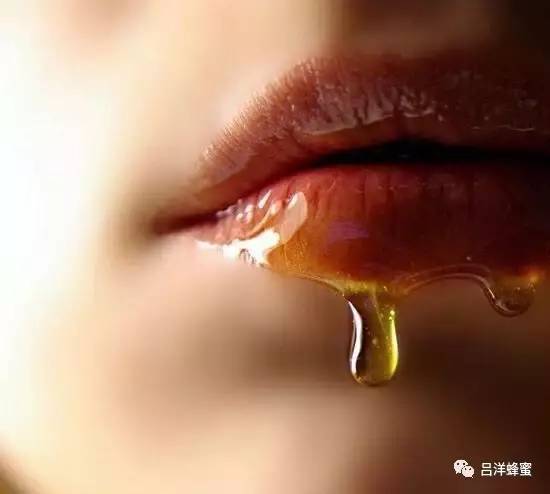 吃中药能喝蜂蜜水吗 蜂蜜治烫伤吗 怎么蜂蜜真假 加工蜂蜜 蜂蜜水怎么做好喝