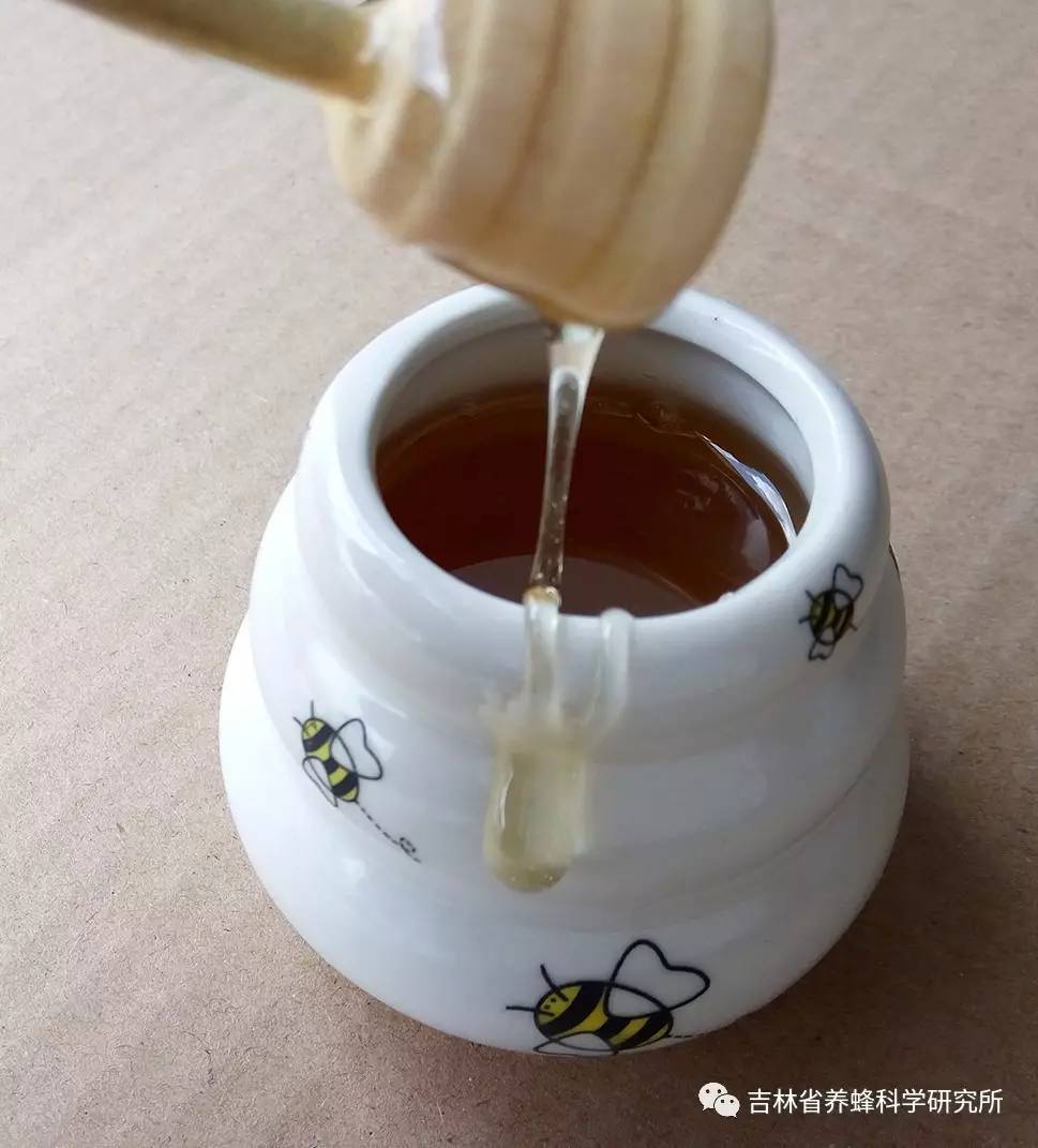 蜂蜜波美度表 蜂蜜水红豆 咳嗽能喝蜂蜜水吗 蜂蜜萝卜汁的做法 德国黑森林蜂蜜