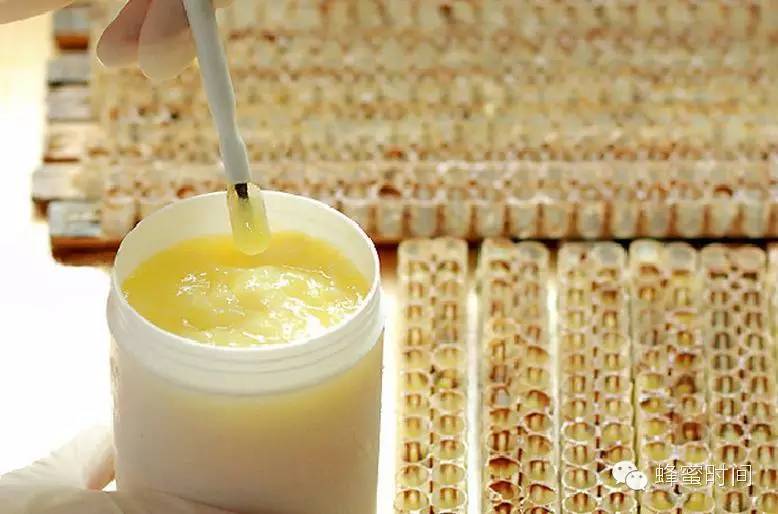 土蜂蜜如何鉴别 启乐蜂蜜 全蛋蜂蜜蛋糕 姜汤蜂蜜水的作用 蜂蜜的古诗