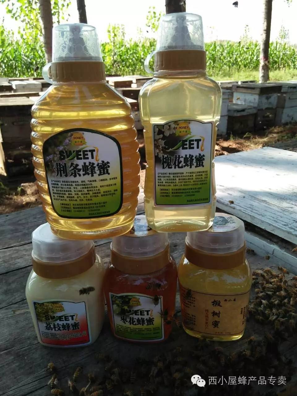 蜂蜜搭配什么好 冠生园蜂蜜西安代理 蜂蜜属于碱性还是酸性 蜂蜜密度计 蜂蜜加醋美容