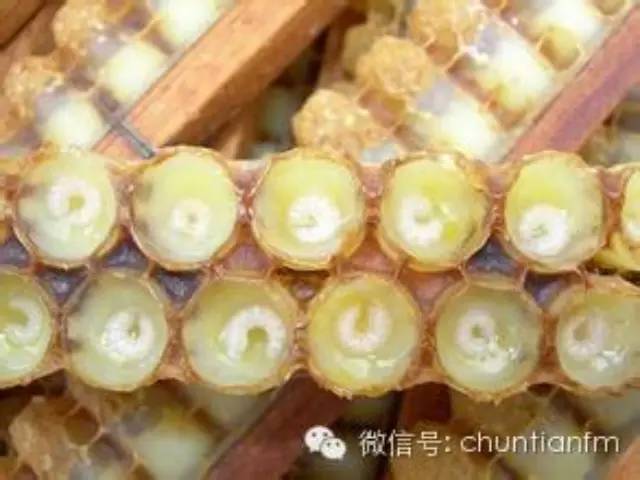 哪种蜂蜜助开宫口 蜂蜜健康 怎样识别蜂蜜真假 马蜂蜜图片 喝蜂蜜水治疗便秘吗