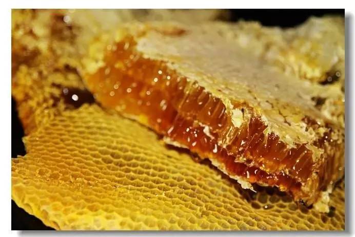 白醋加蜂蜜洗脸 上古卷轴5蜂蜜 柠檬蜂蜜茶的好处 酸奶加蜂蜜可以喝吗 如何鉴定蜂蜜的真假
