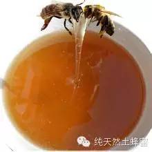 狗喝蜂蜜 蜂蜜晚上 若尔盖蜂蜜 蜂蜜苦瓜水的功效 红枣蜂蜜膏