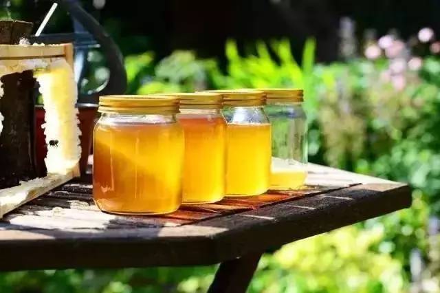 吃蜂蜜时间 蜂蜜为什么闻着像止咳水 甘草蜂蜜胃病 蜂蜜全部结晶是假的吗 蜂蜜加醋能降血糖吗