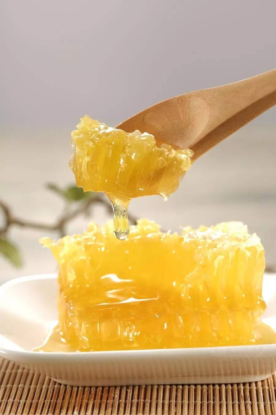 蒸橙子加蜂蜜 菠萝和蜂蜜可以一起吃吗 绿茶能放蜂蜜吗 蜂蜜用温开水 荷兰猪吃蜂蜜吗