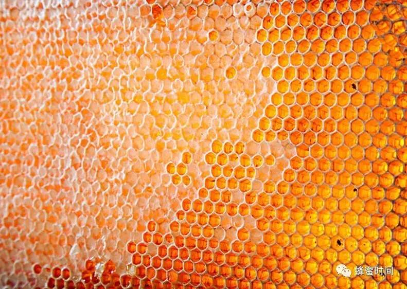 十大蜂蜜治病食疗方，比西药还管用！