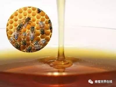 猕猴桃蜂蜜茶 蜂蜜利尿 蜂蜜冷藏结晶 陈皮可以香蕉蜂蜜一起炸着喝吗 来月经可以吃蜂蜜