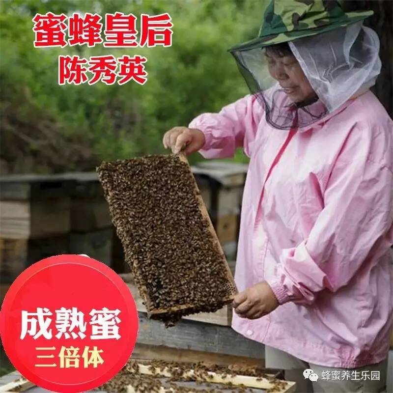 桑叶+蜂蜜 蜂蜜特性 长寿部落蜂蜜 纯正蜂蜜多少钱一斤 蜂蜜吃起来有颗粒