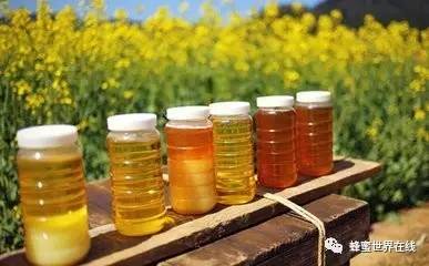蜂蜜15十价格 什么季节喝蜂蜜水最好 面粉蛋清蜂蜜 蜂蜜质量辨别 7月蜂蜜