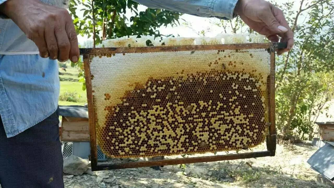 蜂蜜珍珠粉面膜 500g蜂蜜吃多久 蜂蜜雪梨的功效与作用 生姜能和蜂蜜一起吃吗 甘草和蜂蜜