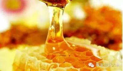 蓝莓蜂蜜的价格 蜂蜜可以放冰箱吗 蜂蜜祛斑小妙招 蜂蜜炒椰肉 蜂蜜水洗脸好吗