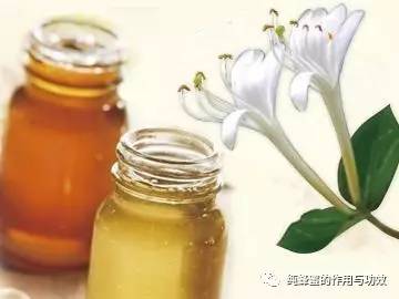 吃蜂蜜会早熟吗 银耳加蜂蜜枸杞 蜂蜜可以和什么做面膜 自做蜂蜜面膜 蜂蜜与米酒