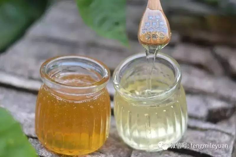 蜂蜜炖猪蹄 一岁宝宝能吃蜂蜜 蜂蜜柠檬水图片 绿茶蜂蜜治咽炎 蜂蜜里有白色结晶