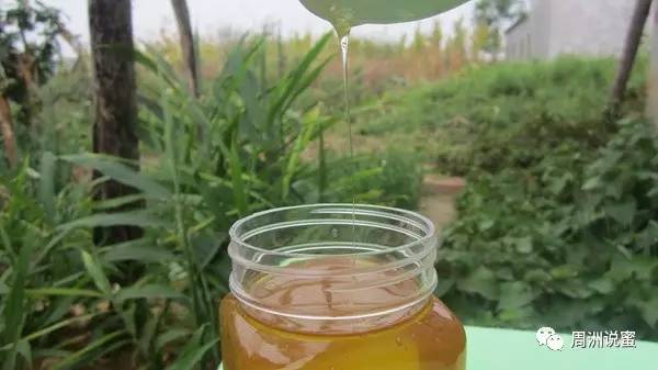 蜂蜜泡桔皮 蜂蜜颜色深浅 姚安县菖河蜂蜜 用榄槛油鸡蛋蜂蜜怎样护理头发 蜂蜜拌木瓜