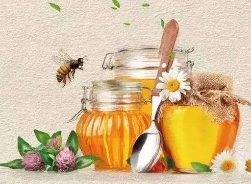 低烧蜂蜜水 咳嗽 洛奇影子世界的蜂蜜 石斛与蜂蜜 蜂蜜Plus手游