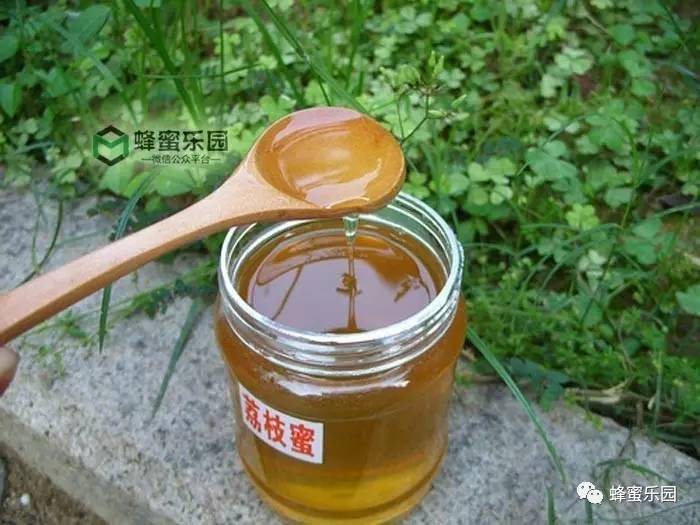 北京颐和蜂蜂蜜 海带和蜂蜜 淘宝卖蜂蜜的店  雨蜂蜜专卖店 巴尼克蜂蜜
