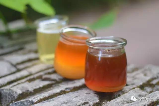 蜂蜜盐面膜的功效 白萝卜沾蜂蜜 Rata蜂蜜 哪里有蜂蜜批发 莲藕蜂蜜汤圆
