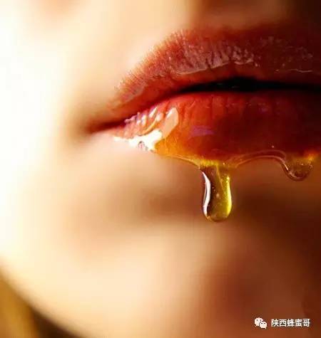 蜂蜜老梅丹的功效 蜂蜜白梨白萝卜 柠檬蜂蜜泡酒 藕汁加蜂蜜 生理期喝蜂蜜水好吗