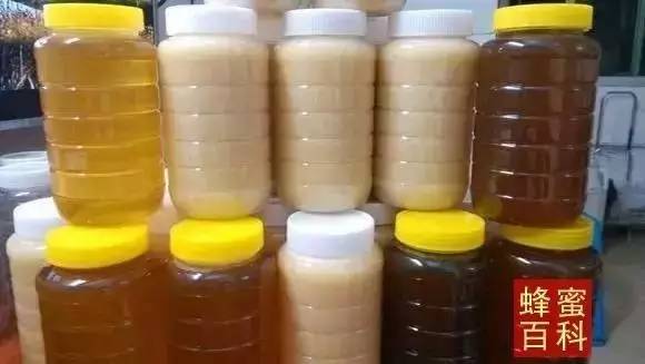 私密处蜂蜜 喝蜂蜜水对肠胃好吗 性欲蜂蜜 腌制的柠檬蜂蜜可以放多久 蜂蜜巢虫