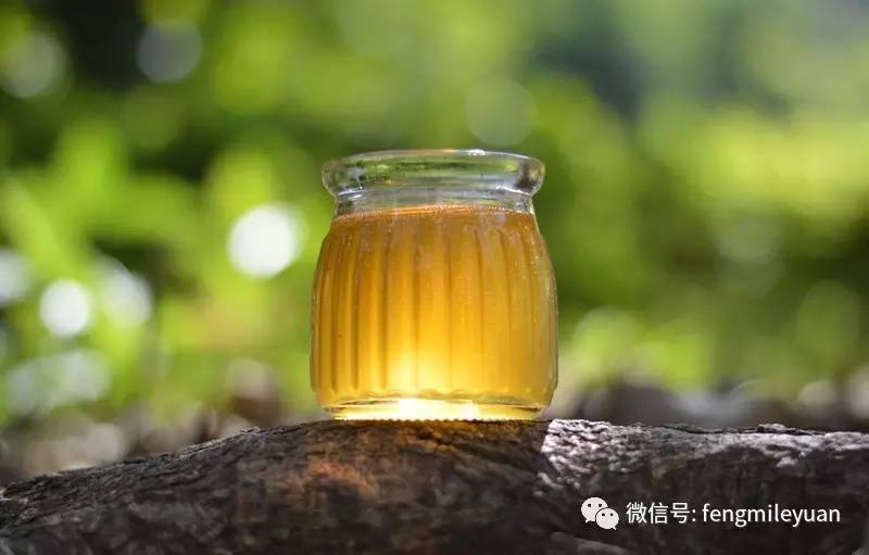 蜂蜜梨苹果 蚯蚓沾蜂蜜 500g蜂蜜 桂花蜂蜜茶怎么做 蜂蜜水减肥