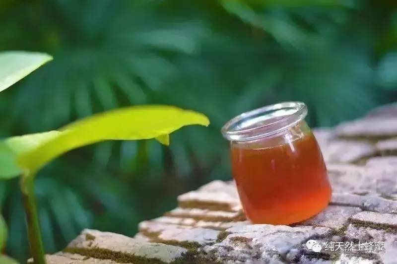 新西兰蜂蜜园 蜂蜜粉和蜂花粉 蜂蜜怎么鉴别真假 枇杷花蒸蜂蜜的做法 喝蜂蜜可以去火吗