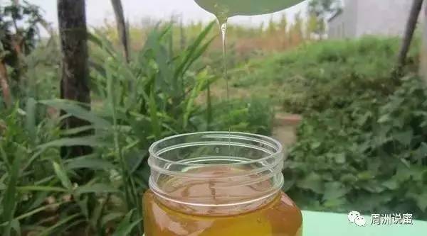 避开蜂蜜这些误区，放心喝杯蜂蜜水！
