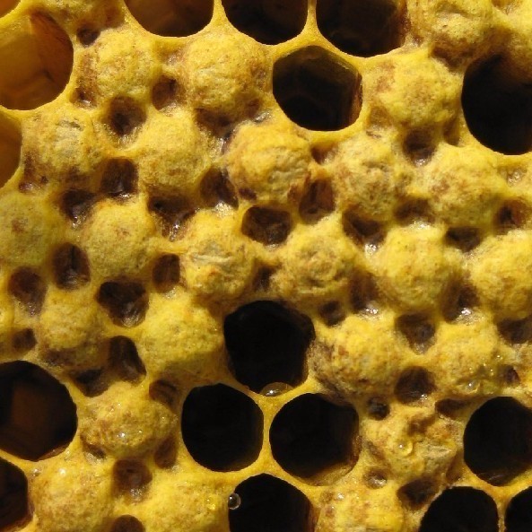 蜂蜜上面有结晶 蜂蜜和红枣可以一起吃吗 乙肝能吃蜂蜜吗 柠檬蜂蜜白醋 高档蜂蜜包装瓶