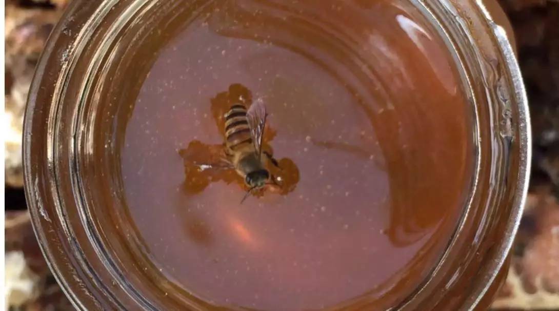 蜂蜜柚子皮的做法 枸杞花蜂蜜图片大全 lunedemiel蜂蜜怎么样 怀孕喝什么蜂蜜好 蜂蜜美容美图