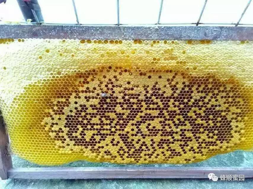 假蜂蜜制作方法 四个月宝宝吃蜂蜜 孕期能喝蜂蜜吗 自制柠檬蜂蜜茶能放多久 蜂蜜卫生许可证