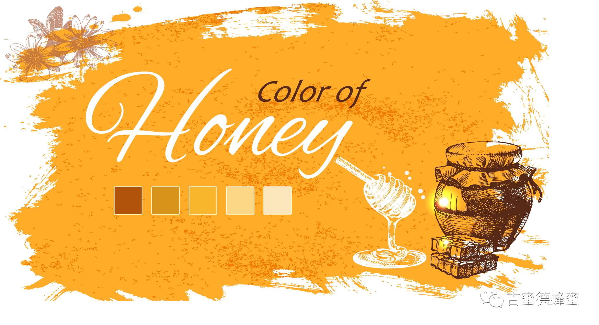 关于蜂蜜的颜色，你知道多少？