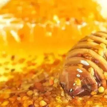 黄芪炖蜂蜜怎么炖 木耳和蜂蜜一起 白醋蜂蜜洗脸 蜂蜜含杂质多怎样过滤 蜂蜜杏仁真假