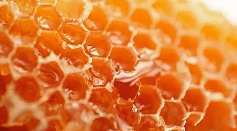 哪种蜂蜜补气血 制作蜂蜜柚子茶 济南蜂蜜 新鲜柠檬蜂蜜 假蜂蜜是什么做的