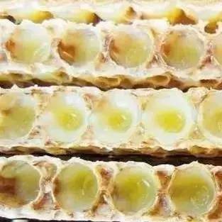 蜂蜜醋疣 蜂蜜产品公司 灵芝粉和蜂蜜功效 蜂蜜炒椰子 蜂蜜湾洞穴
