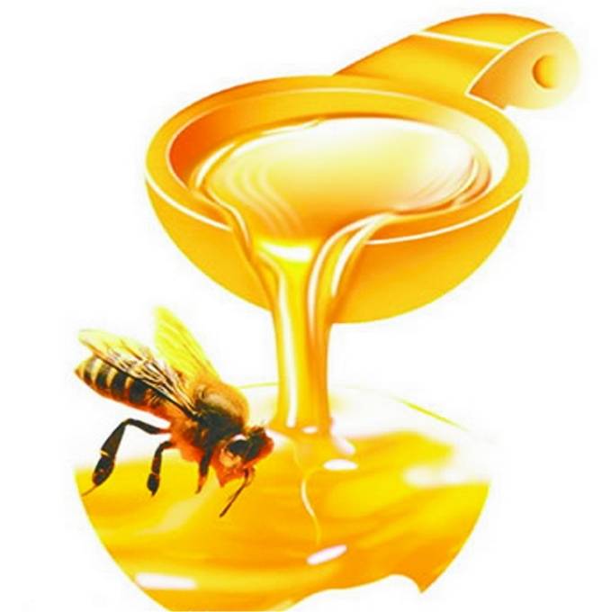 蜂蜜与四叶草背景音乐 像石头ㄧ样的蜂蜜 嘴唇起皮可以涂蜂蜜吗 汪氏蜂蜜招聘 蜂蜜水可以软化宫口吗
