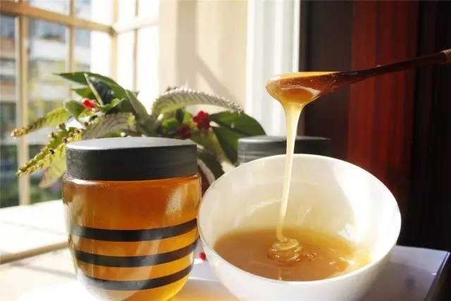 益窝蜂说：常喝土蜂蜜水给身体带来哪些改善？