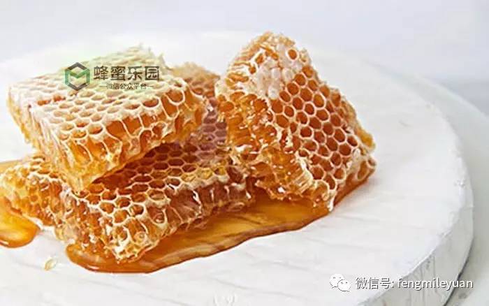 蜂蜜正品 蜂蜜无糖 东园蜂蜜夏威夷果 蜂桶蜂蜜价格 新疆沙枣蜂蜜
