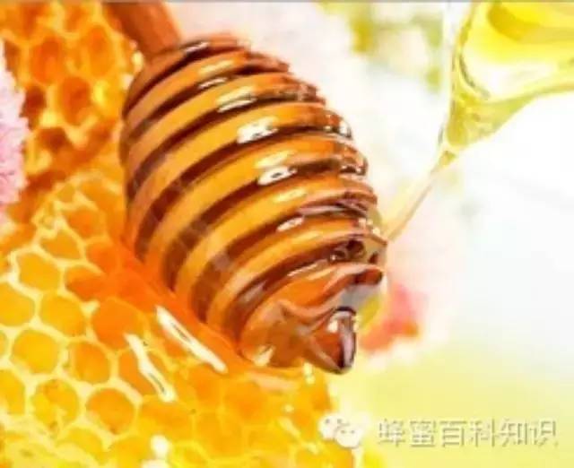 蜂蜜+柠檬 天然减肥美白饮料狂瘦不止
