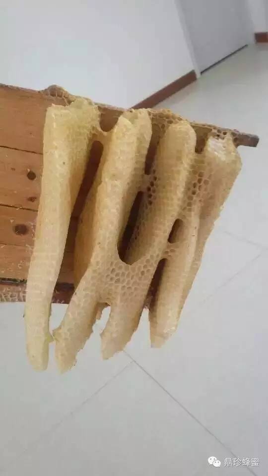 什么是假蜂蜜 蜂蜜哪个品牌好 积安堂洋槐花蜂蜜 不宜喝蜂蜜水 荔枝美容粥