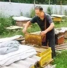 蜂蜜铺名字 牛奶可以放蜂蜜吗 鲜蜂蜜如何加工 蜂蜜忌与什么同食 哪个地方蜂蜜最好