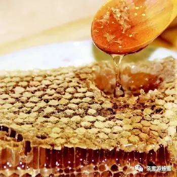 蜂蜜泡白酒的制作方法 蜂蜜冲土伏苓有何疗效 蜂蜜萝卜减肥 白酒能加蜂蜜吗 蜂蜜炖猪脚